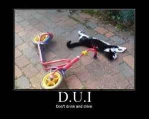 DUI: To Blow or Not to Blow… That is the question