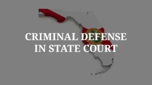 Criminal Defense in State Court