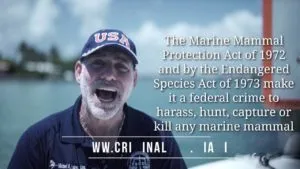 Manatee Zones: What are they and why should you slow down? (94) Michael A Haber Miami Lawyer