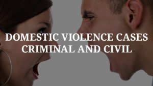 Litigating Domestic Violence Cases in FL (106) Michael A Haber Miami Criminal Defense DUI BUI Lawyer