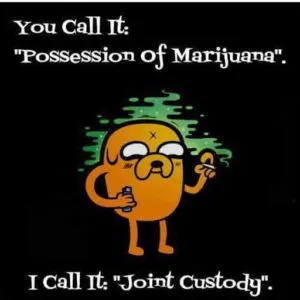 “Possession” in Florida: What is it?  How does the State prove it?  How can I beat it?  ~ Call