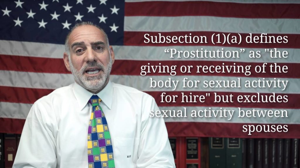 What's the Difference between a Prostitute and an Escort? (84) Michael A Haber Miami Criminal Lawyer