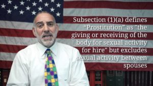 What's the Difference between a Prostitute and an Escort? (84) Michael A Haber Miami Criminal Lawyer
