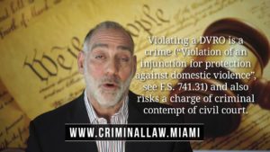 211) What's the difference between a DVRO and a Stay Away Order? Michael Haber Miami Lawyer