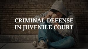 Litigating Juvenile Cases in FL (113) Michael A Haber Miami Criminal Defense Lawyer