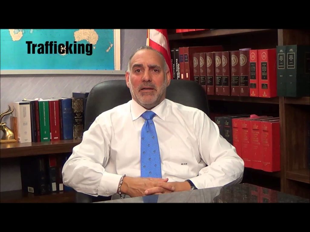 Miami Criminal Defense Lawyer About Michael A Haber PA