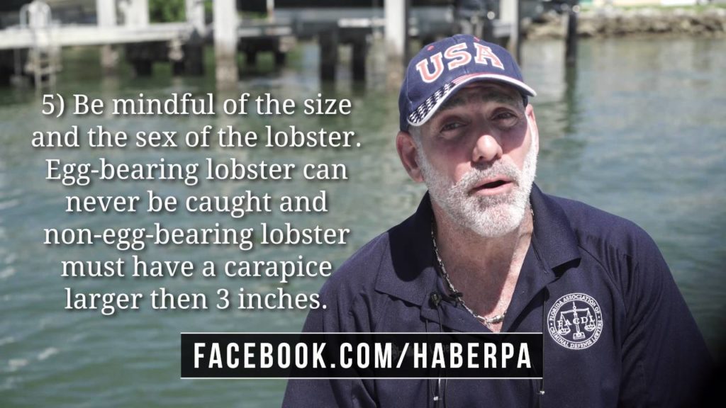 Can I Catch My Own Lobster in FL? (103) Michael A Haber Miami Criminal Defense DUI BUI Lawyer