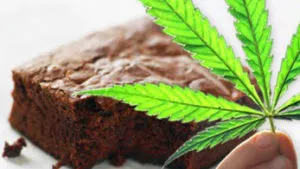 The Times They Are a Changing ~ High School Student Gives His Teacher a Pot Brownie instead of an Apple /