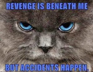 revenge